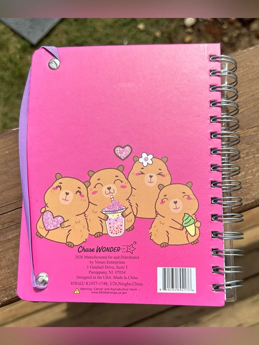 “Don’t Worry be Capy” Notebook Set w/ Sticky Notes and Cherry Pen